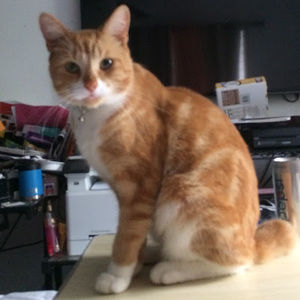 Meet your Posher, Cutefuzzyfifi